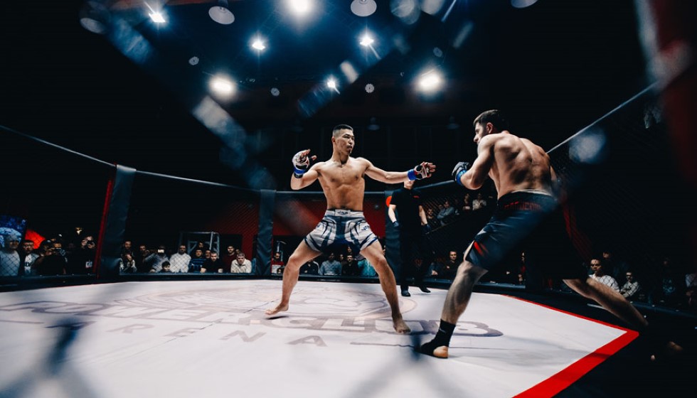 Nikita Hand's Triumph in Civil Suit: A Landmark Case Against Conor McGregor