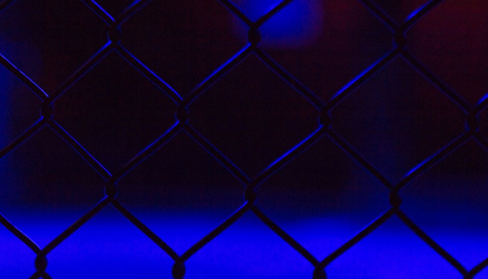 Conor McGregor's UFC Comeback Delayed Until 2025